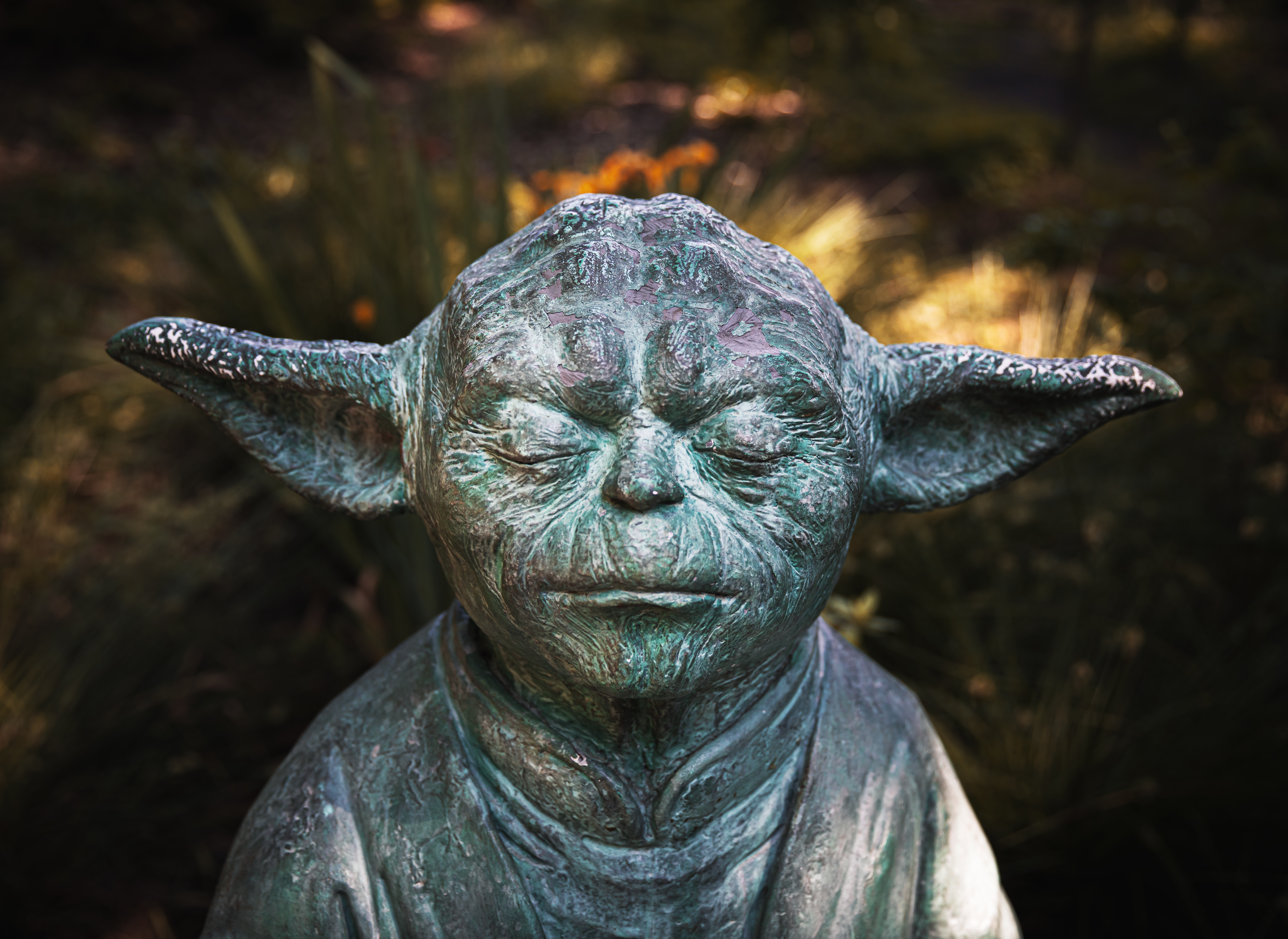 Jedi Master Yoda from Star Wars