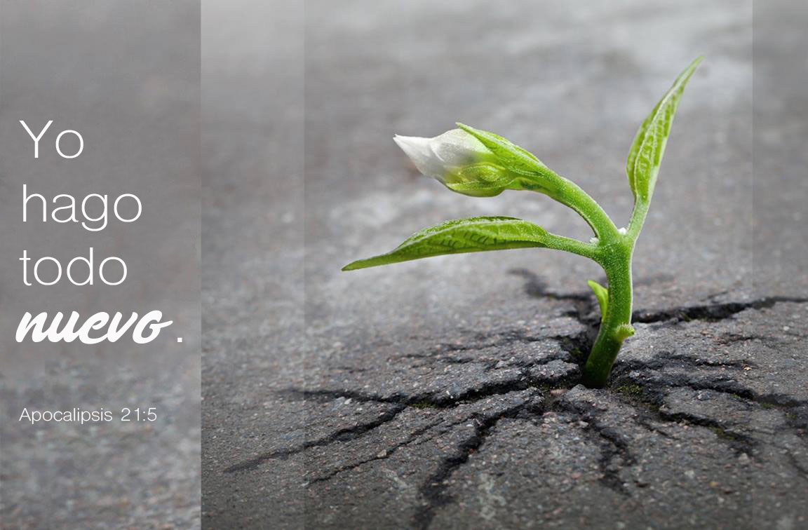 Foto de Skeeze, cortesía de pixabay.com. Gráfico original de Laurens Glass; versión en español Rev. Gustavo Vasquez, Noticias MU.