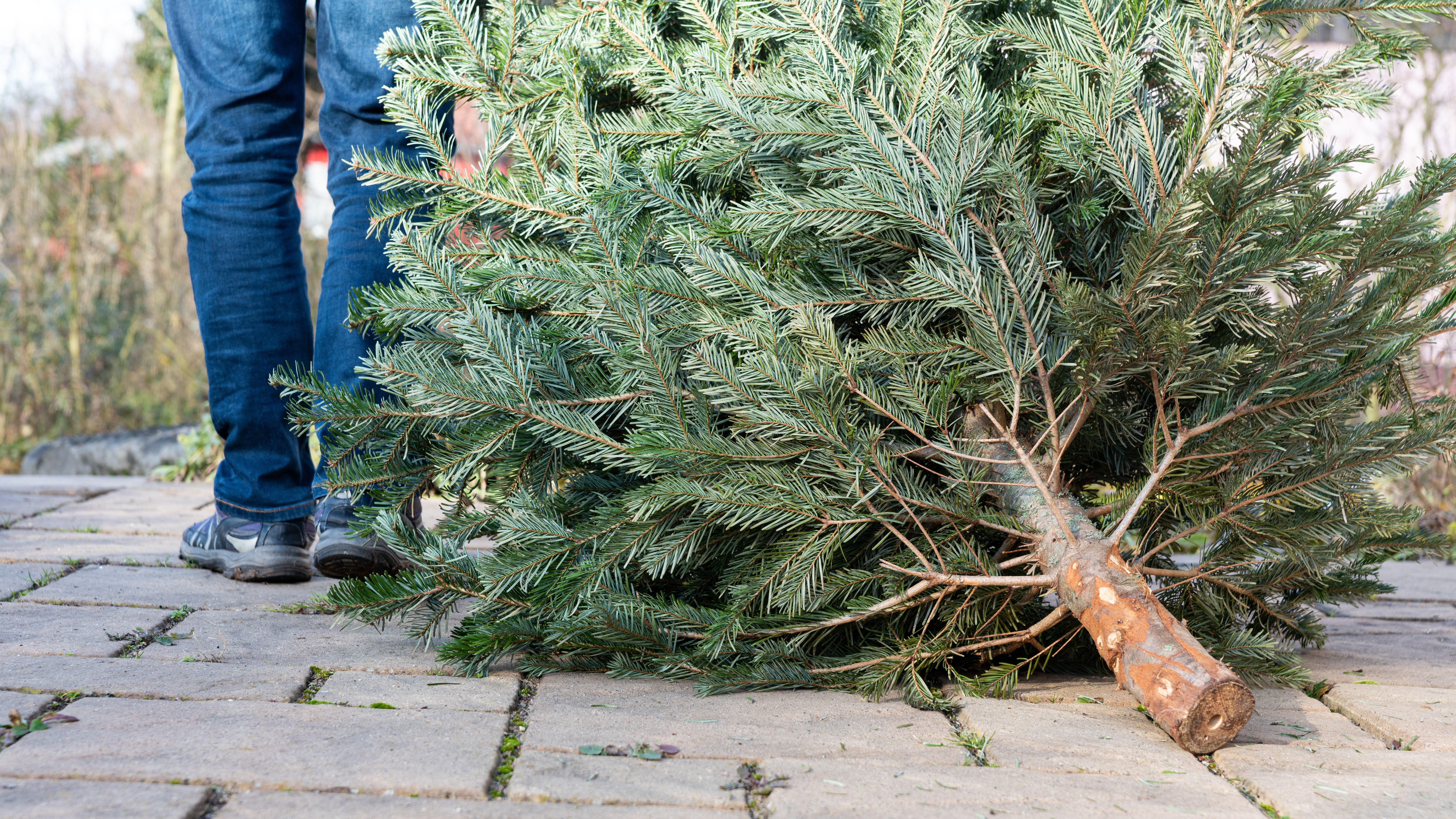 What happens after Christmas?