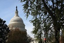 The U.S. Capitol is framed by trees across from the United Methodist Building in Washington, D.C. A UMNS file photo by Kathleen Barry. The U.S. Capitol is framed by trees across from the United Methodist Building in Washington, D.C. A UMNS file photo by Kathleen Barry.