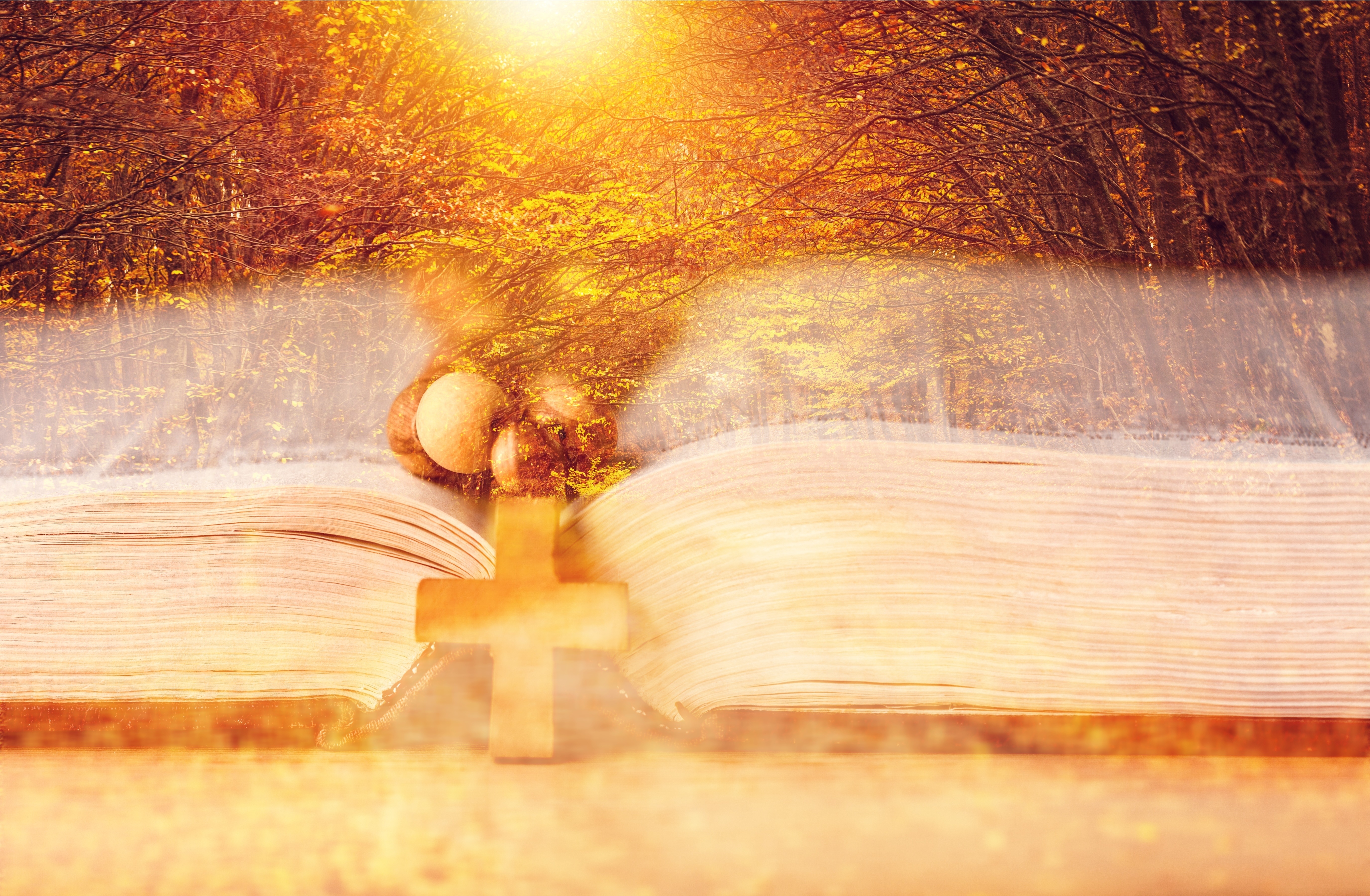 Estas 5 ideias inspiram o crescimento espiritual