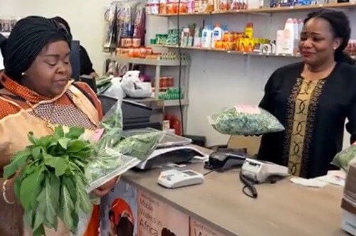 The community-supported agribusiness program at Morningside University is cultivating amaranth greens to serve the Congolese population.