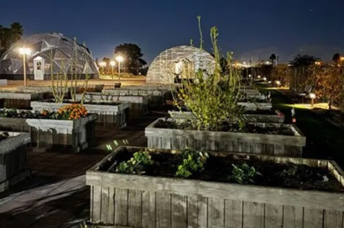 Urban farming grants from Zion UMC. Courtesy of the Desert Southwest Conference