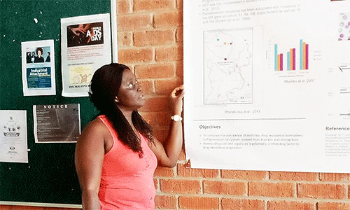 Martha Fatoma, from Sierra Leone, reads the College of Health, Agriculture and Natural Science (CHANS) billboard at Africa University in Zimbabwe. Fatoma is a World Communion Scholar who studied at Africa University for a Bachelor of Science in Nursing. Photo: Courtesy of Martha Fatoma